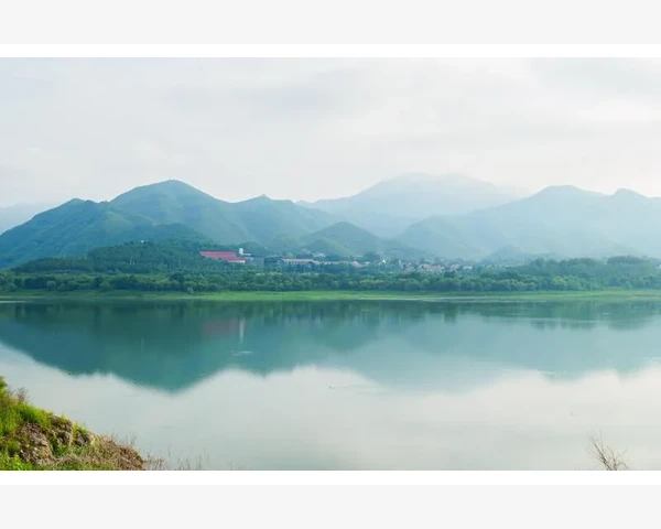 更年期的人吃什么好？探索中医养生之道，缓解更年期症状